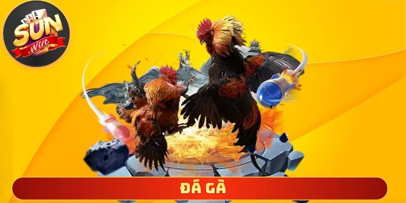 Đá gà Sunwin