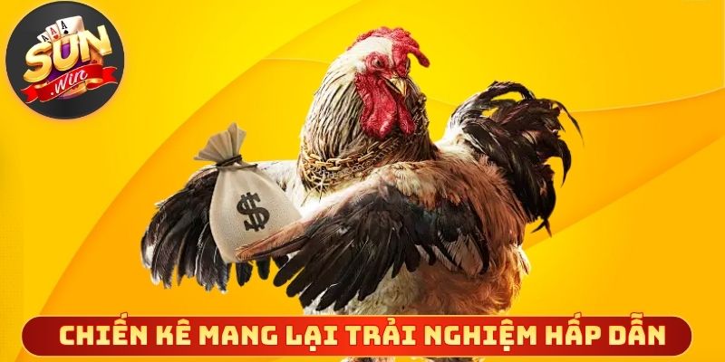 Chiến kê đa dạng mang lại nhiều trải nghiệm hấp dẫn