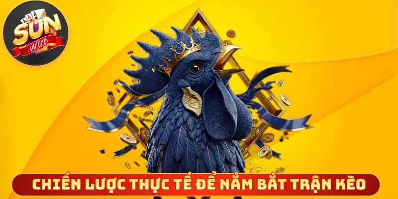 Chiến lược thực tế để nắm bắt trận kèo