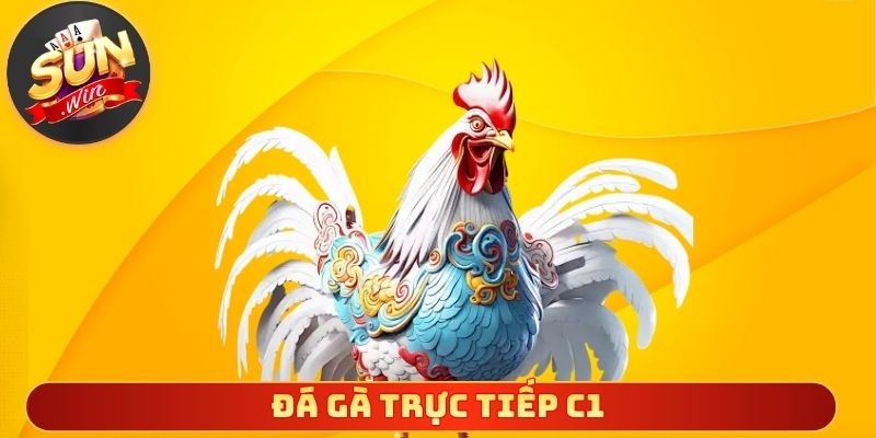 Đá Gà Trực Tiếp C1