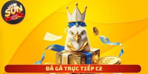 Đá Gà Trực Tiếp C2