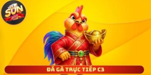 Đá Gà Trực Tiếp C3