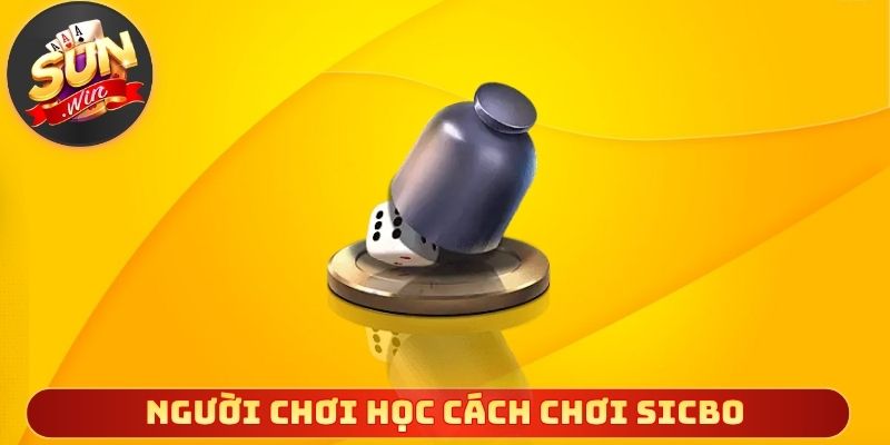 Người chơi học cách chơi sicbo thực tế hiệu quả