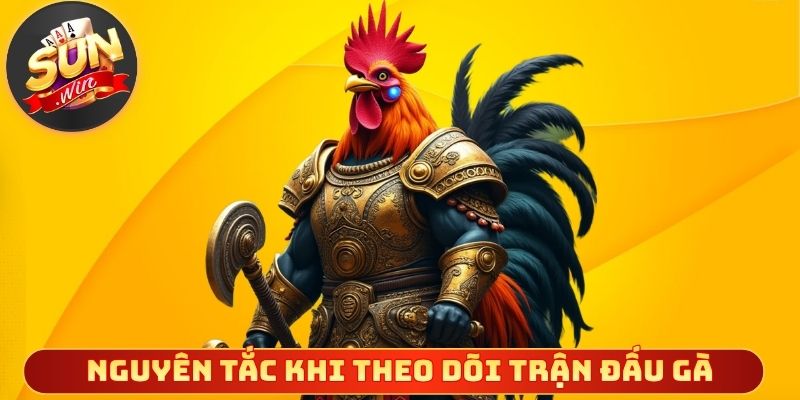 Nguyên tắc cơ bản khi theo dõi trận đấu gà