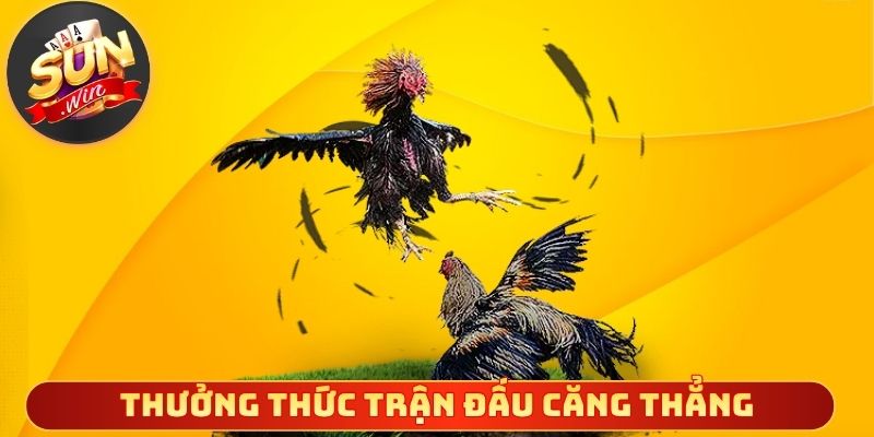 Thưởng thức trận đấu căng thẳng từng phút