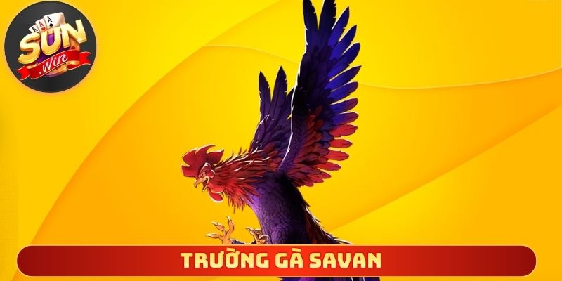 Trường Gà Savan