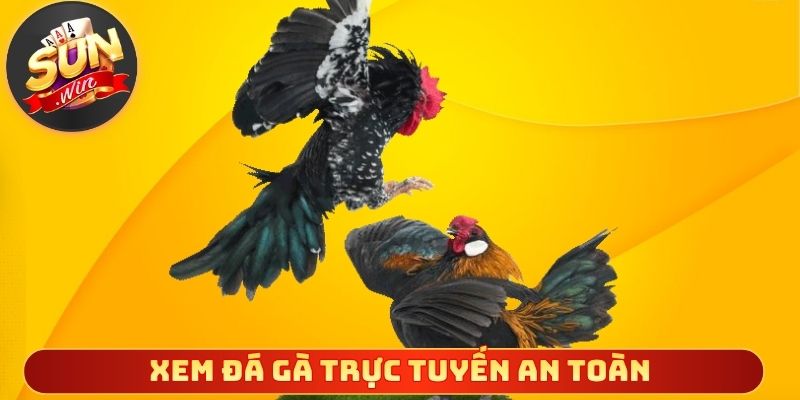 Xem đá gà trực tuyến an toàn cần tỉnh táo