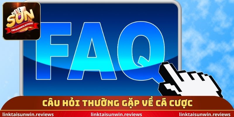 Câu hỏi thường gặp về cá cược