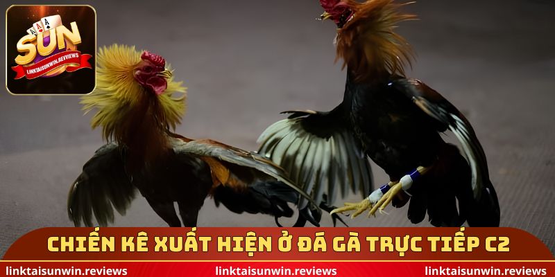 Chiến kê xuất hiện ở đá gà trực tiếp c2