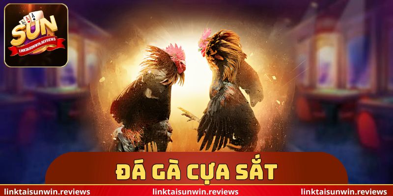 Đá Gà Cựa Sắt
