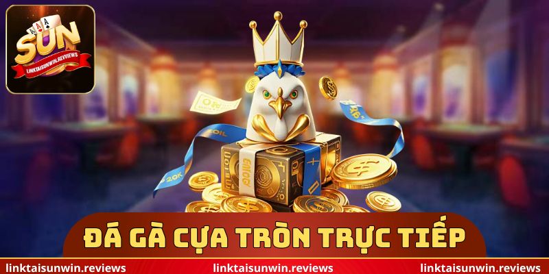 Đá Gà Cựa Tròn Trực Tiếp