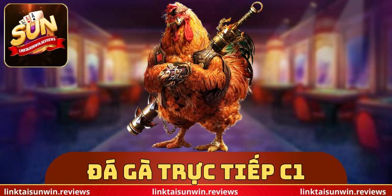 Đá Gà Trực Tiếp C1