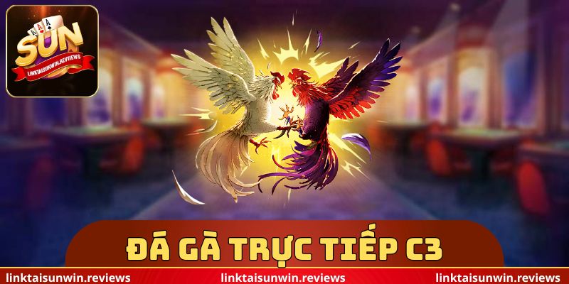 Đá Gà Trực Tiếp C3 Đá Gà Trực Tiếp C3