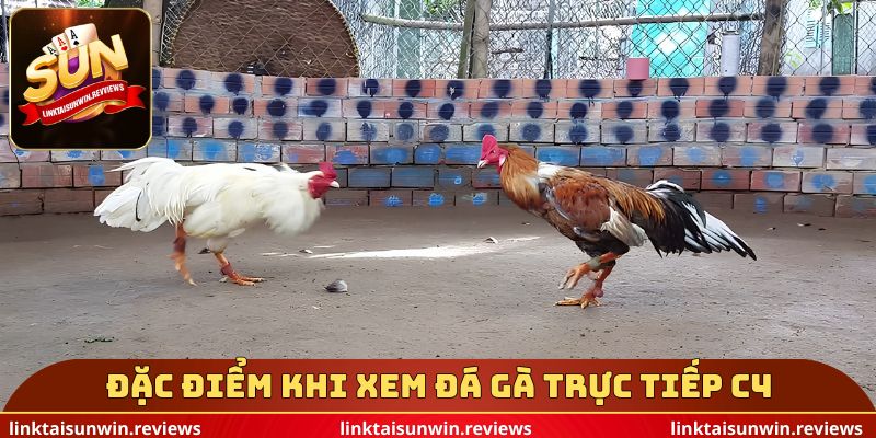 Đặc điểm khi xem đá gà trực tiếp c4