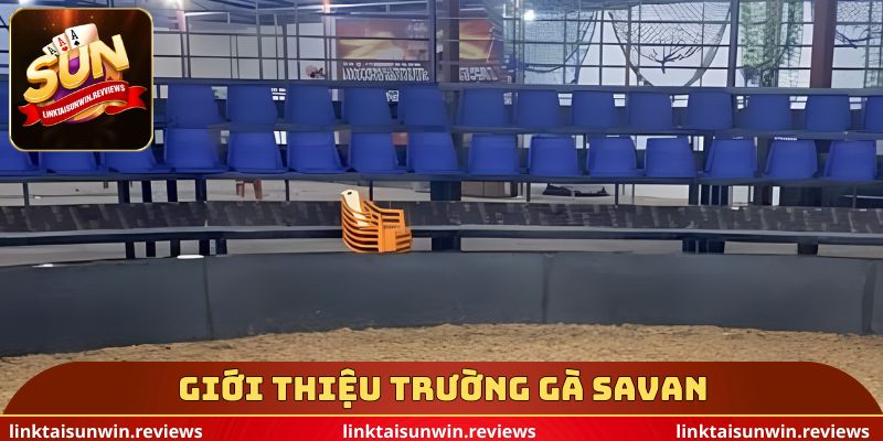 Giới thiệu trường gà savan