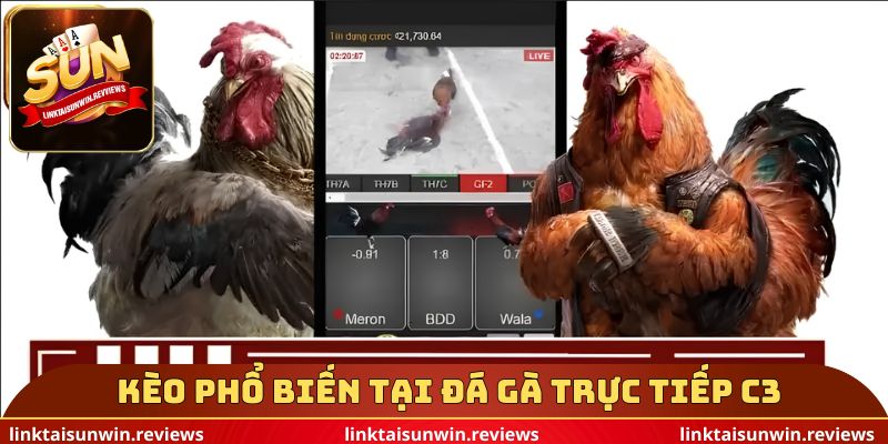 Kèo phổ biến tại đá gà trực tiếp c3