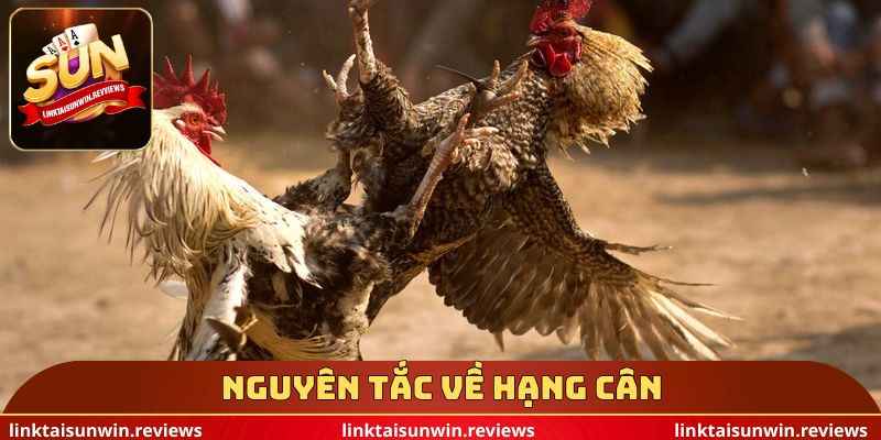 Nguyên tắc về hạng cân