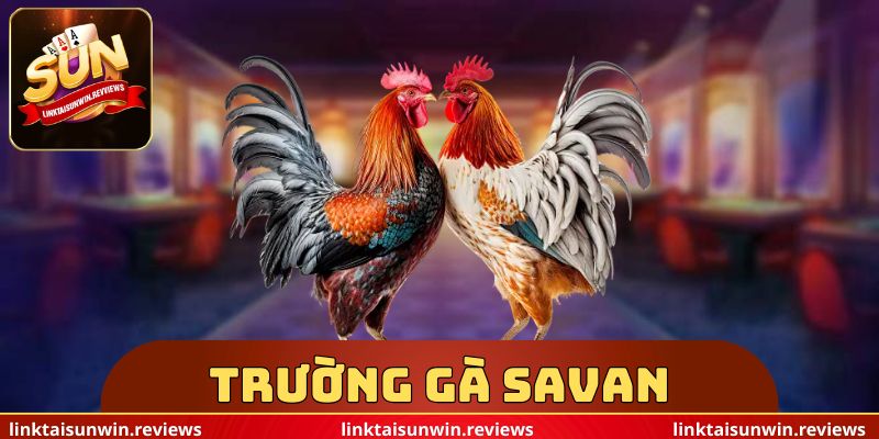 Trường Gà Savan