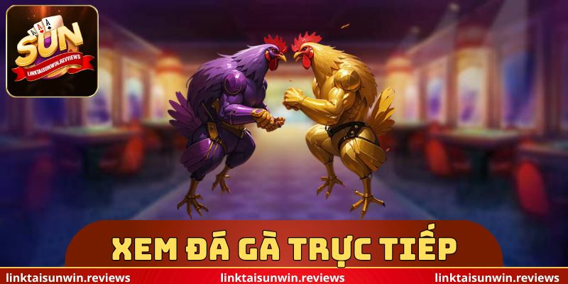Xem Đá Gà Trực Tiếp
